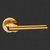 Polished Gold