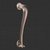 Satin Nickel