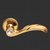 Polished Gold